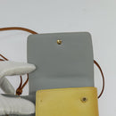 LOUIS VUITTON Monogram Vernis Walker Gris M91031 LV Auth 126634-10