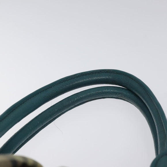 BURBERRY Nova Check Hand Bag PVC Beige Auth 127155