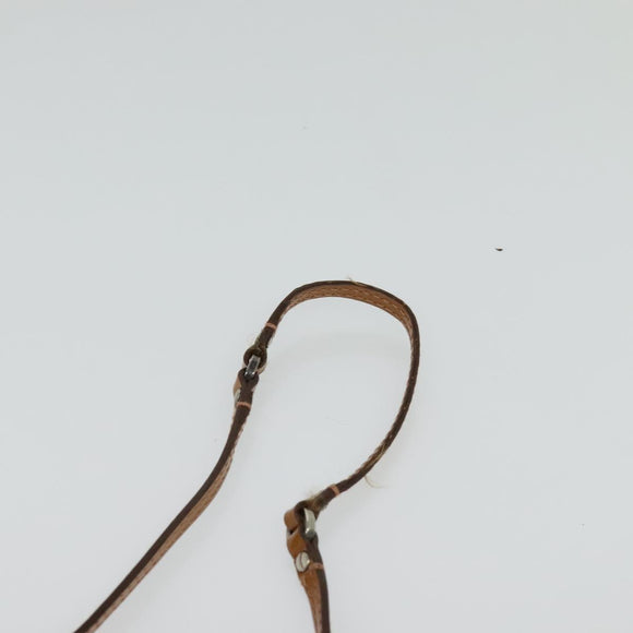 PRADA Shoulder Bag Nylon Brown Auth 127172