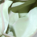 PRADA Tote Bag Nylon Light green Auth 127872-11