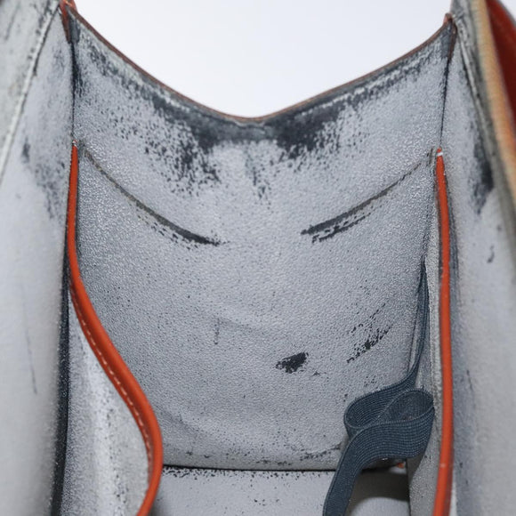 LOUIS VUITTON Epi Riviera Hand Bag Brown M48183 LV Auth 128752