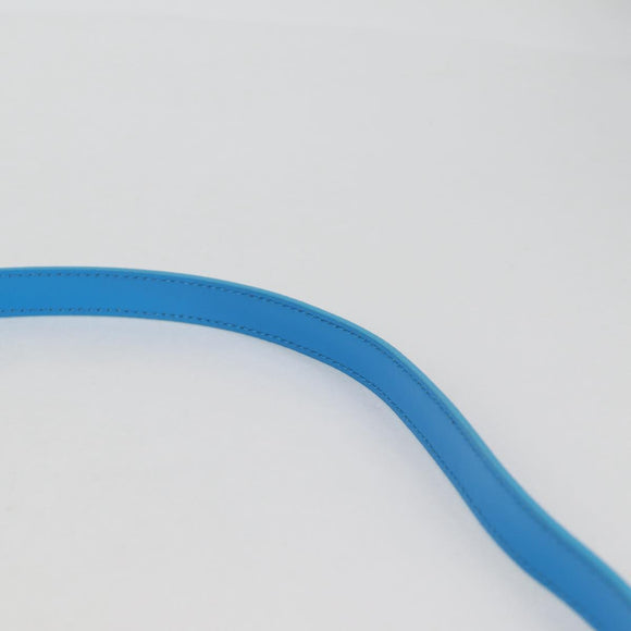 Christian Dior Bobby East West Shoulder Bag Leather Blue Gold Auth 128851M