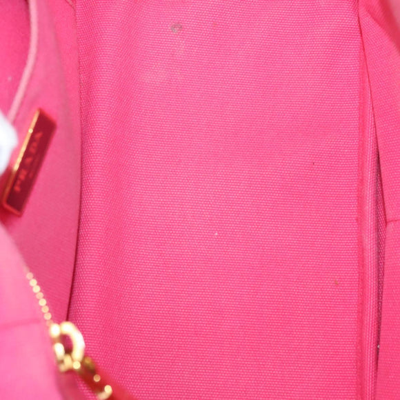 PRADA Kanapa PM Hand Bag Canvas Pink Silver Auth 129944