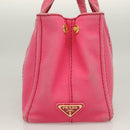 PRADA Kanapa PM Hand Bag Canvas Pink Silver Auth 129944-5