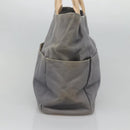 Burberrys Blue Label Tote Bag Canvas Gray Silver Auth 129965-4