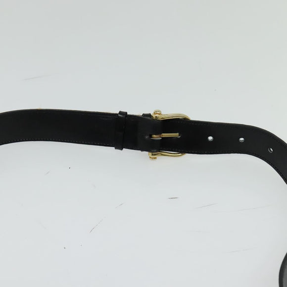 CELINE Sulky Shoulder Bag Leather Black Gold Auth 130625