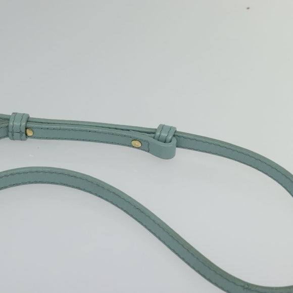 CELINE Trio Shoulder Bag Leather Light Blue Gold Auth 131611