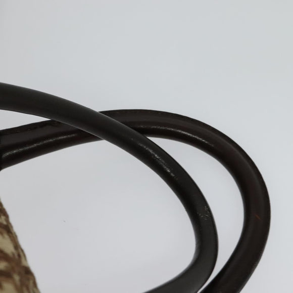 Christian Dior Trotter Canvas Boston Bag Brown Gold Auth 131686