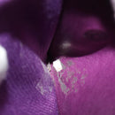 CHANEL COCO Mark Wallet Caviar Skin Purple Gold CC Auth 131984-12