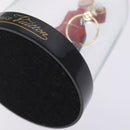 LOUIS VUITTON Bell Boy Snow Globe 2012 Clear M99551 LV Auth 132500-7