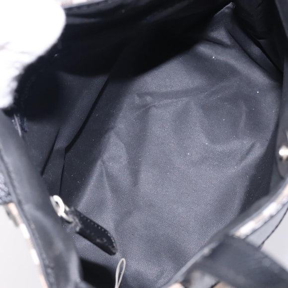 BURBERRY Nova Check Hand Bag Nylon Leather Beige Silver Auth 132519