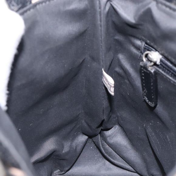 BURBERRY Nova Check Hand Bag Nylon Leather Beige Silver Auth 132519