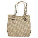 Christian Dior Trotter Canvas Romantic Chain Bag PVC Beige Silver Auth 132755-2
