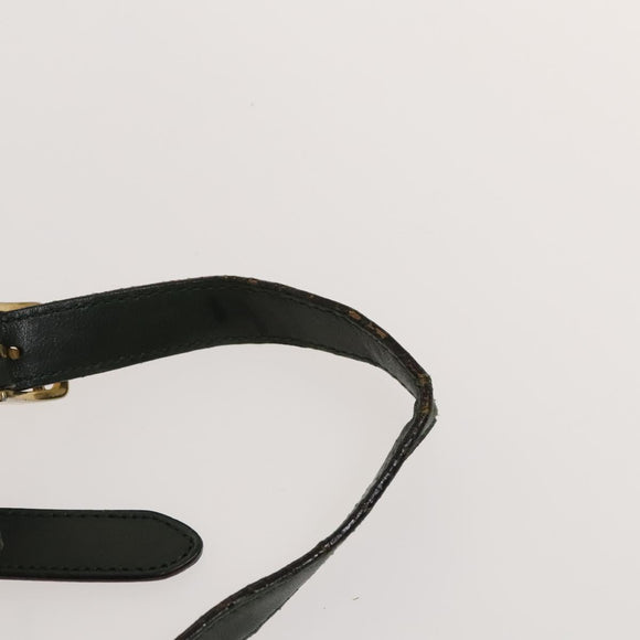 CELINE Shoulder Bag Leather Green Gold Auth 134496