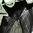 PRADA Backpack Nylon Green Silver Auth 135051-25