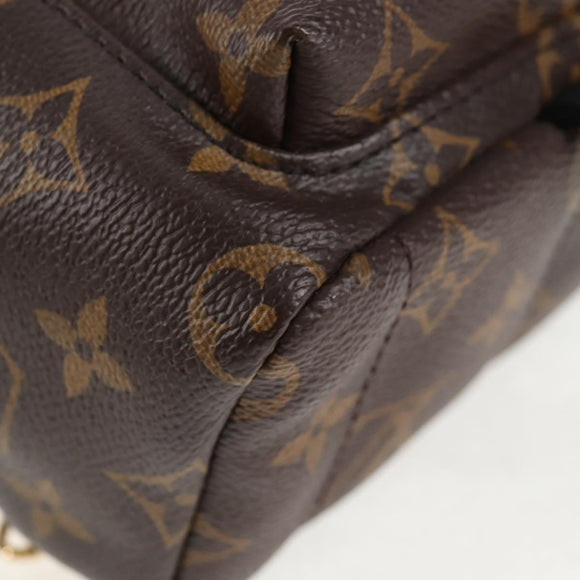 LOUIS VUITTON Monogram World Tour Palm Springs Shoulder Bag M42971 Auth 135119M