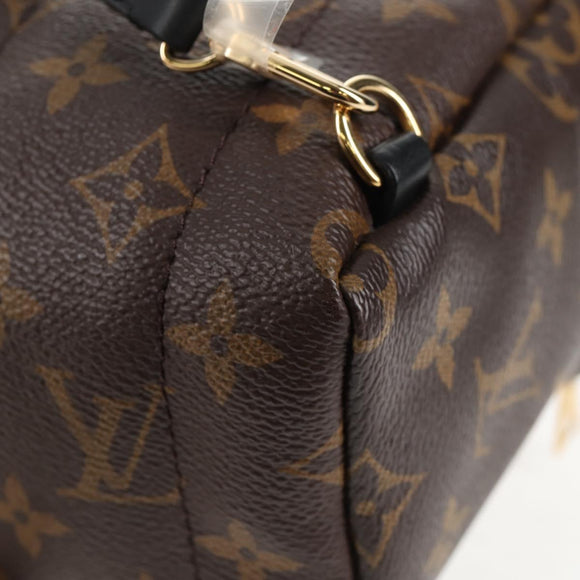 LOUIS VUITTON Monogram World Tour Palm Springs Shoulder Bag M42971 Auth 135119SAM