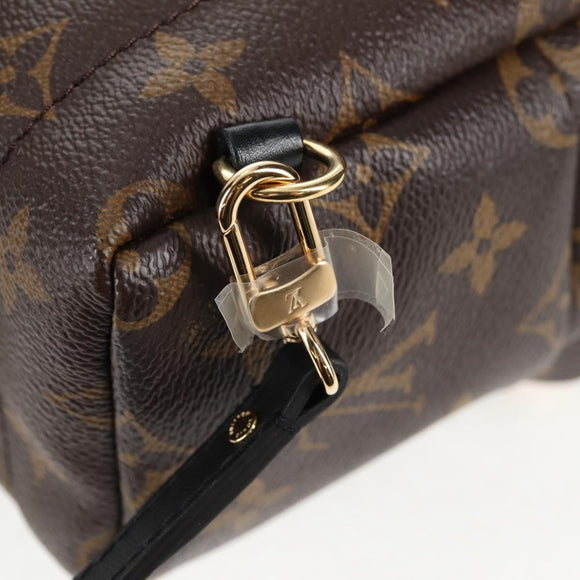 LOUIS VUITTON Monogram World Tour Palm Springs Shoulder Bag M42971 Auth 135119SAM