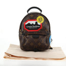 LOUIS VUITTON Monogram World Tour Palm Springs Shoulder Bag M42971 Auth 135119M-13