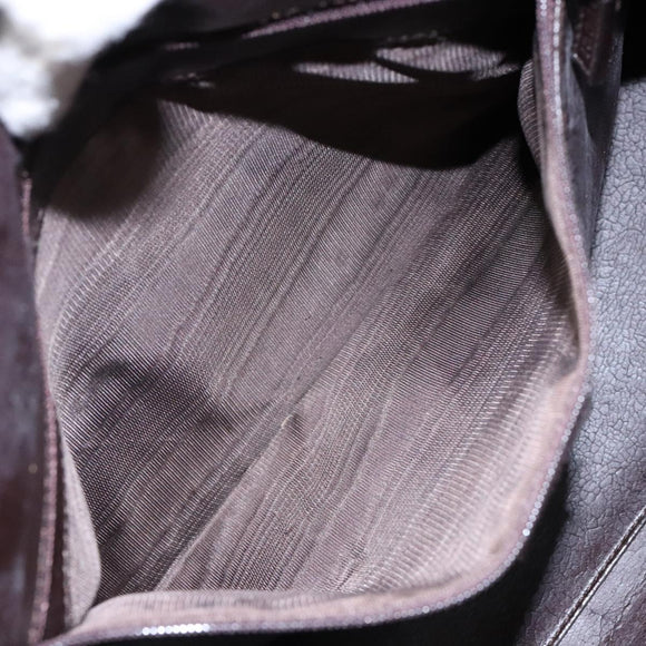 GUCCI Shoulder Bag Nylon Brown Silver 001 3017 Auth 135184