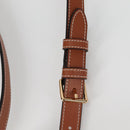 CELINE Triomphe Small Bucket Shoulder Bag PVC Leather Black Gold Auth 135273M-8