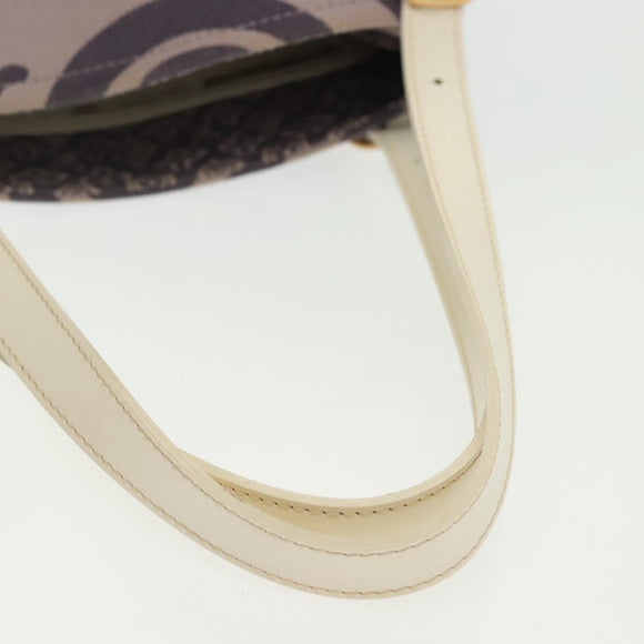 LOUIS VUITTON Cruise line Taicienne PM Bag Canvas Lila M95680 LV Auth 135371