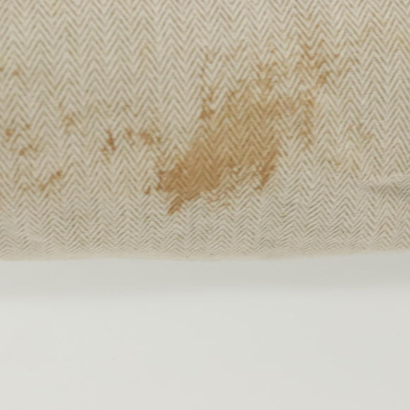 HERMES Buggy Baggage Hand Bag Canvas Beige Silver Auth 135703