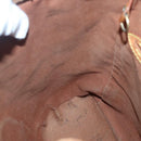 LOUIS VUITTON Monogram Montsouris MM Backpack M51136 LV Auth 136169-21