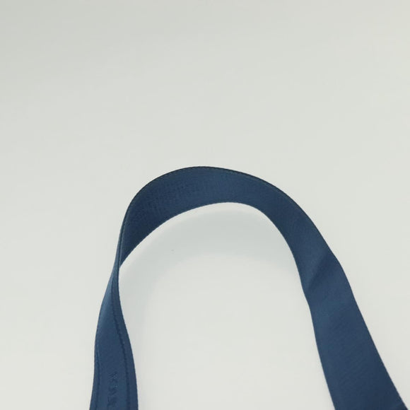 LOUIS VUITTON Damier Infini Ambreil Bag Leather Blue N41354 LV Auth 136610