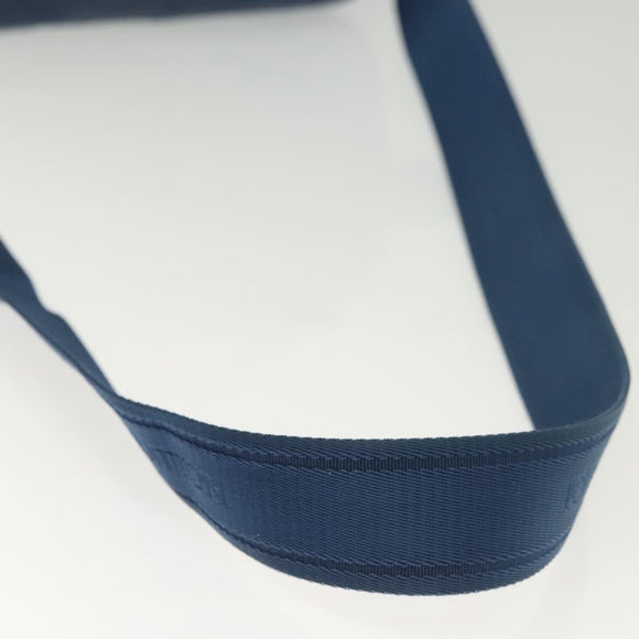 LOUIS VUITTON Damier Infini Ambreil Bag Leather Blue N41354 LV Auth 136610