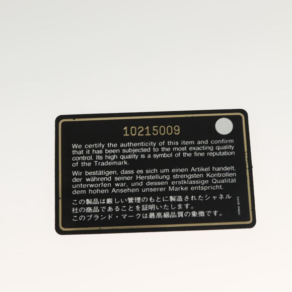 CHANEL Mademoiselle Double Chain Bag Leather Peppermint Silver CC Auth 137465