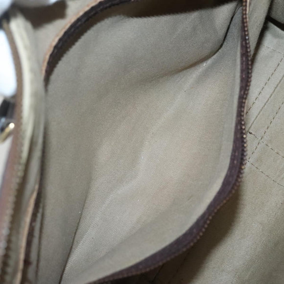 Christian Dior Trotter Canvas Hand Bag Brown Gold Auth 137848