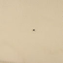 CHANEL Hand Bag Caviar Skin Beige Gold CC Auth 137950-6