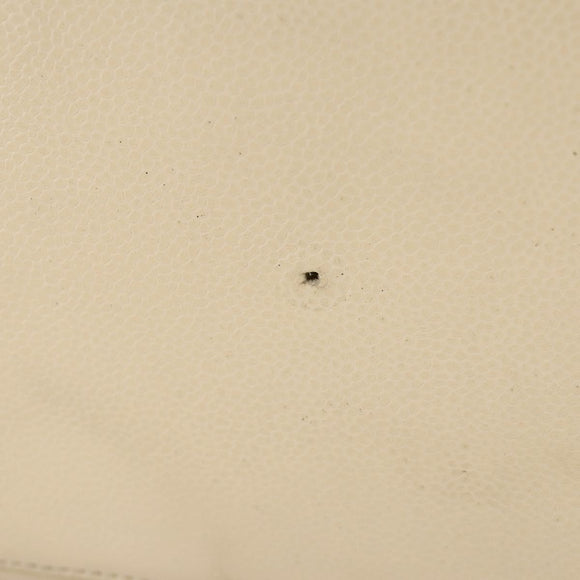 CHANEL Hand Bag Caviar Skin Beige Gold CC Auth 137950