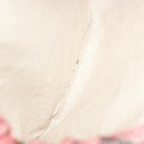 LOEWE Drawstring Pouch Canvas Pink Auth 138135-14