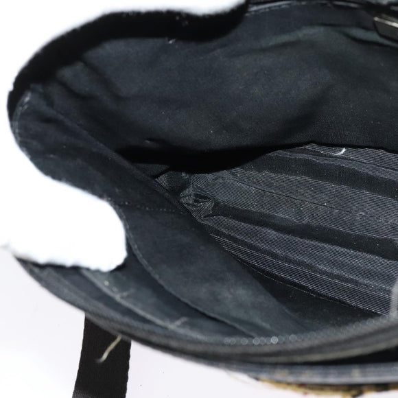 BURBERRY Nova Check Shoulder Bag Canvas Beige Silver Auth 138221