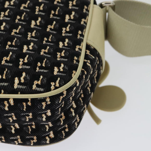 CHANEL Shoulder Bag Canvas Black Silver CC Auth 138320