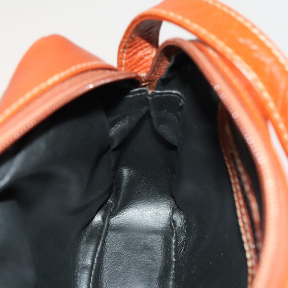 FENDI Pecan Canvas Shoulder Bag Coated Canvas Black Brown gold Auth 138323