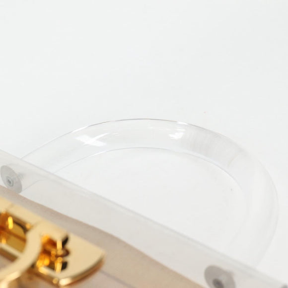 Salvatore Ferragamo Hand Bag Plastic Clear Gold Auth 138346A