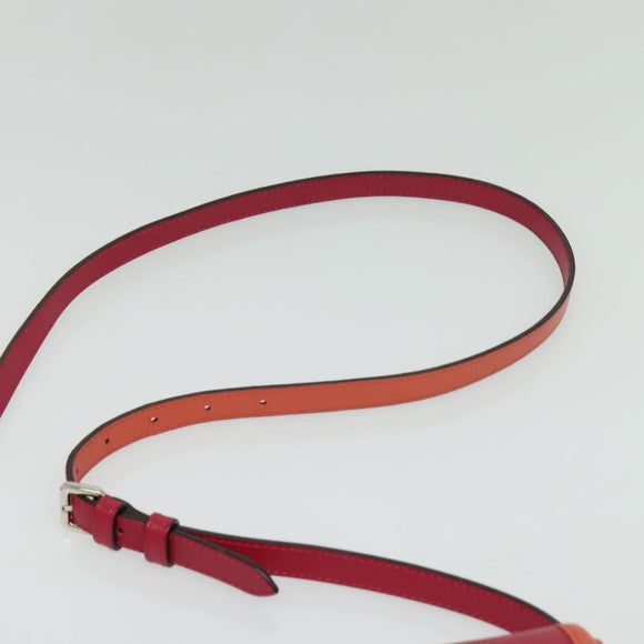 LOEWE Ines Shoulder Bag Leather Pink Silver Auth 138557