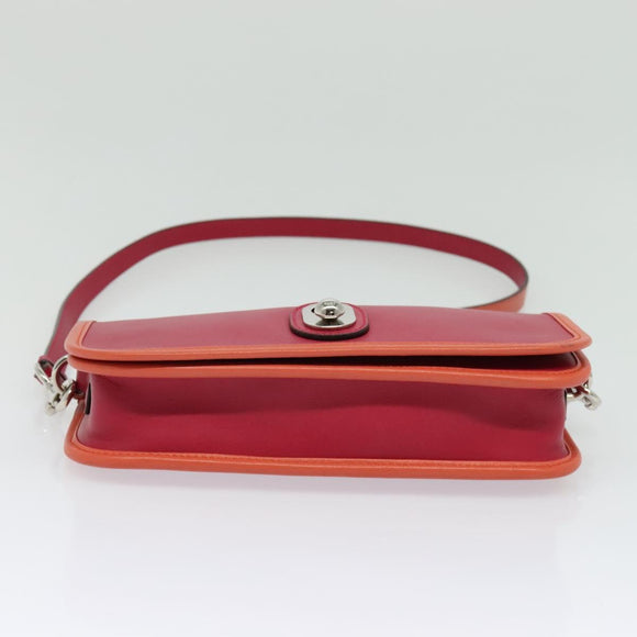 LOEWE Ines Shoulder Bag Leather Pink Silver Auth 138557