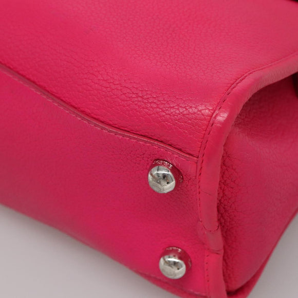 LOEWE Shoulder Bag Leather Pink Silver Auth 138559