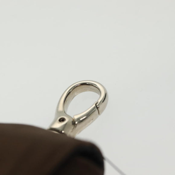 BURBERRY Golf Ball Case Nylon Brown Silver Auth 138917