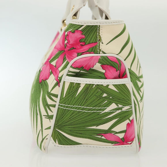 CELINE Hand Bag Canvas White Gold Auth 139166