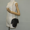 LOUIS VUITTON Monogram Reverse Dog Face Pochette Bag Gray M53171 LV Auth 139199M-26