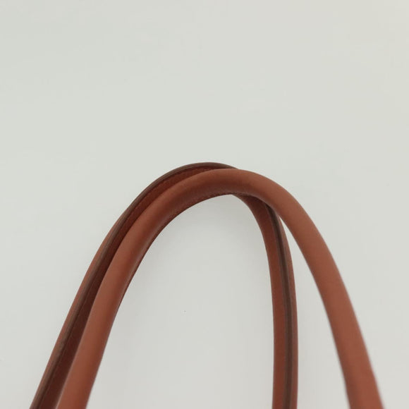 BALENCIAGA Vanier Tote Bag Raffia Pink 286370 Auth 139539