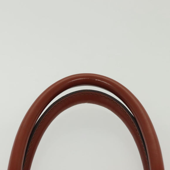 LOUIS VUITTON Epi Riviera Hand Bag Brown M48183 LV Auth 139641