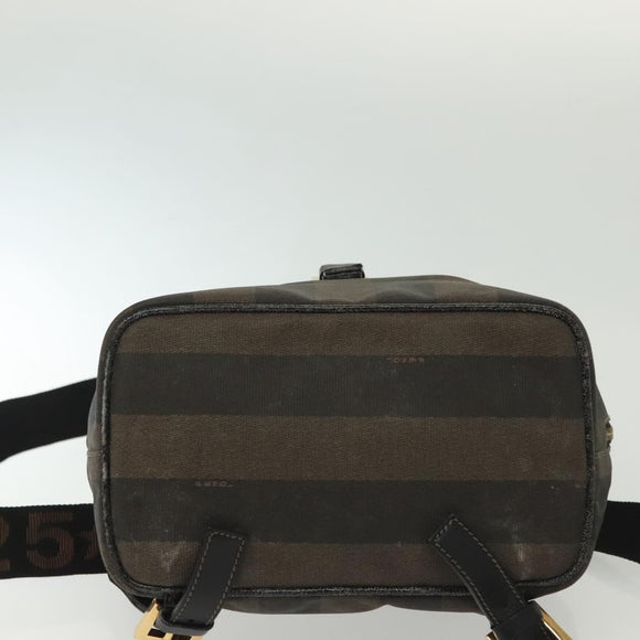 FENDI Pecan Canvas Backpack PVC Brown Black gold Auth 139650