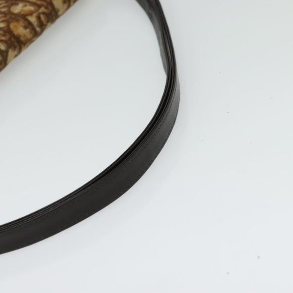 Christian Dior Trotter Canvas Shoulder Bag Brown Gold Auth 139733