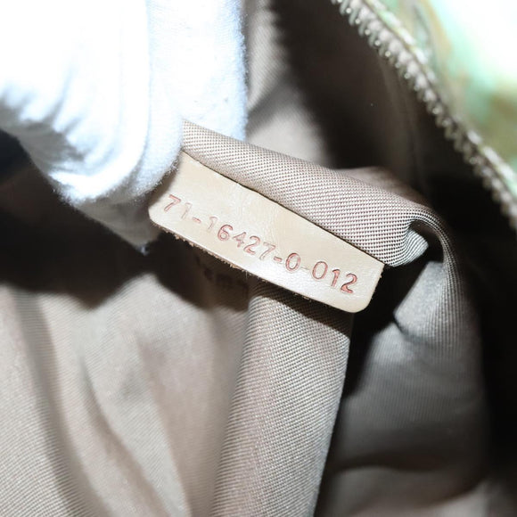 FENDI Zucchino Canvas Hand Bag Coated Canvas Peppermint Gold Auth 140112